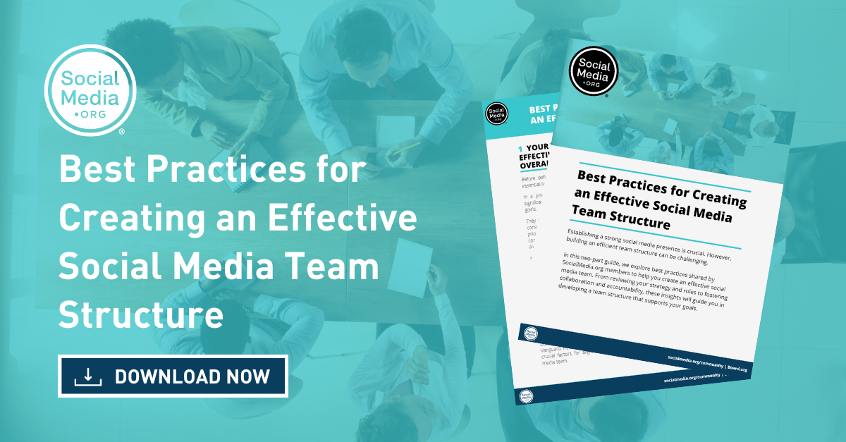 Social Media Team Structure Holistic Model Common